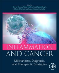 Inflammation and Cancer : Mechanisms, Diagnosis, and Therapeutic Strategies