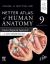 Netter Atlas of Human Anatomy: Classic Regional Approach with Latin Terminology