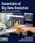 Essentials of Big Data Analytics : Applications in R and Python