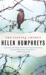 Evening Chorus