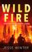 Wild Fire : Dispatches from a Country Ablaze