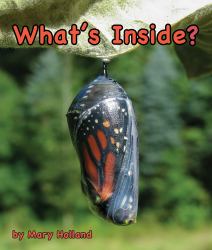 Whats Inside?