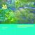 Dunham Massey : National Trust Guidebook