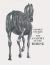 The Anatomy of the Horse