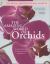 The Amazing World of Orchids