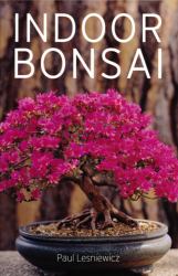 Indoor Bonsai