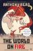The World on Fire : 1919 and the Battle with Bolshevism