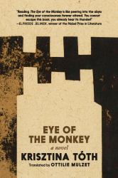 Eye of the Monkey : A Novel