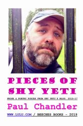 Pieces of Shy Yeti