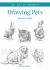 Art of Drawing Drawing Pets Art of Drawing Drawing Pets