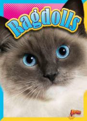 Ragdolls