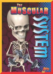 The Muscular System