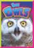 Baby Owls
