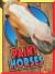 Paint Horses Paint Horses