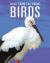 Birds: Back from the Brink