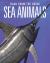 Sea Animals: Back from the Brink