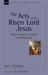 The Acts of the Risen Lord Jesus : Luke's Account of God's Unfolding Plan