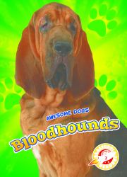 Bloodhounds