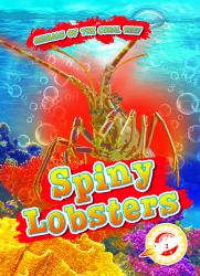 Spiny Lobsters