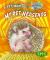 My Pet Hedgehog