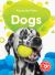 Dogs Dogs