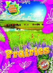 Prairies