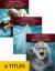 Xtreme Screams (Set Of 6) Xtreme Screams (Set Of 6)