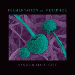 Fermentation As Metaphor : From the Author of the Bestselling the Art of Fermentation