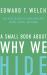 A Small Book about Why We Hide : How Jesus Rescues Us from Insecurity, Regret, Failure, and Shame