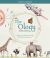 The Ology Curriculum Student Workbook : Ancient Truths Ever New