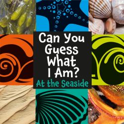 Can You Guess What I Am? : At the Se Can You Guess What I Am?: Seaside