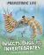 Insects, Bugs and Other Invertebrates