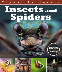 Visual Explorers - Insects and Spiders