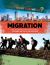Migration : What Can We Do?