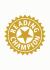 Reading Champion: Reading Champion Gold Band Graphic Readers 4