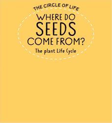 Where Do Seeds Come from? the Plant Life Cycle