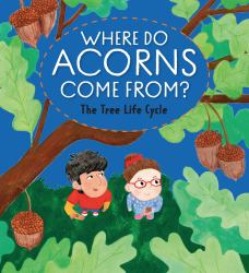 Where Do Acorns Come from? the Tree Life Cycle