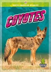 Coyotes