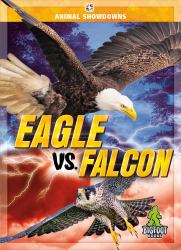 Eagle vs. Falcon