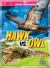 Hawk vs. Owl