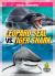 Leopard Seal vs. Tiger Shark