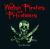 Welsh Pirates and Privateers