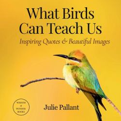 What Birds Can Teach Us : Inspiring Quotes and Beautiful Images