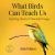 What Birds Can Teach Us : Inspiring Quotes and Beautiful Images