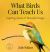 What Birds Can Teach Us : Inspiring Quotes and Beautiful Images