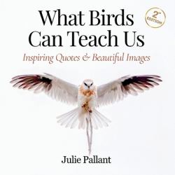 What Birds Can Teach Us : Inspiring Quotes and Beautiful Images