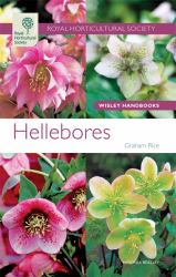 Hellebores