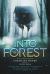 Into the Forest : Tales of the Baba Yaga Into the Forest : Tales of the Baba Yaga