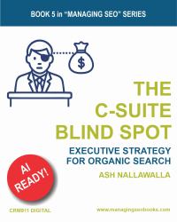 The C-Suite Blind Spot : Executive Strategy for Search, AI, and Visibility Governance