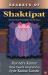 Secrets of Shaktipat : Awakening of Kundalini by the Guru